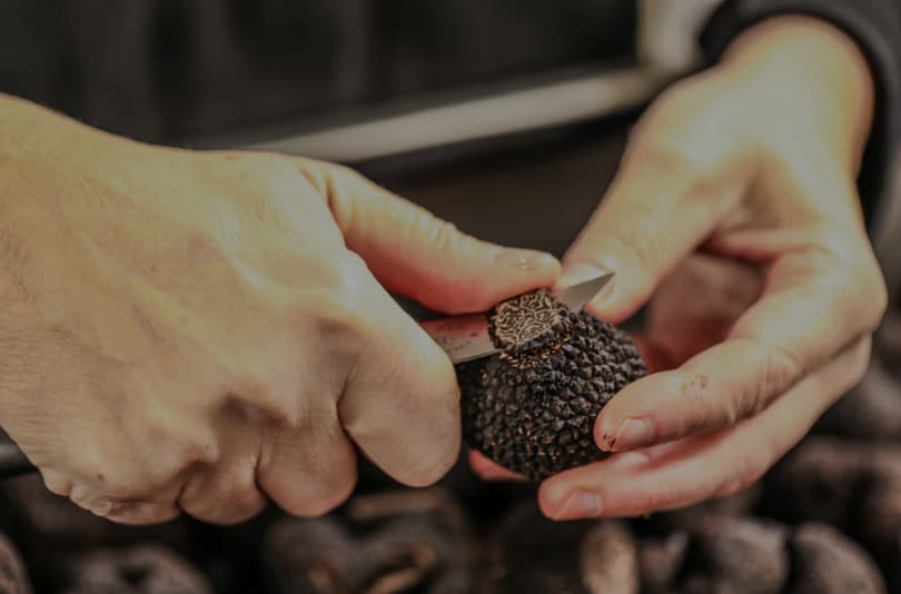 King Truffle premium black truffle close-up